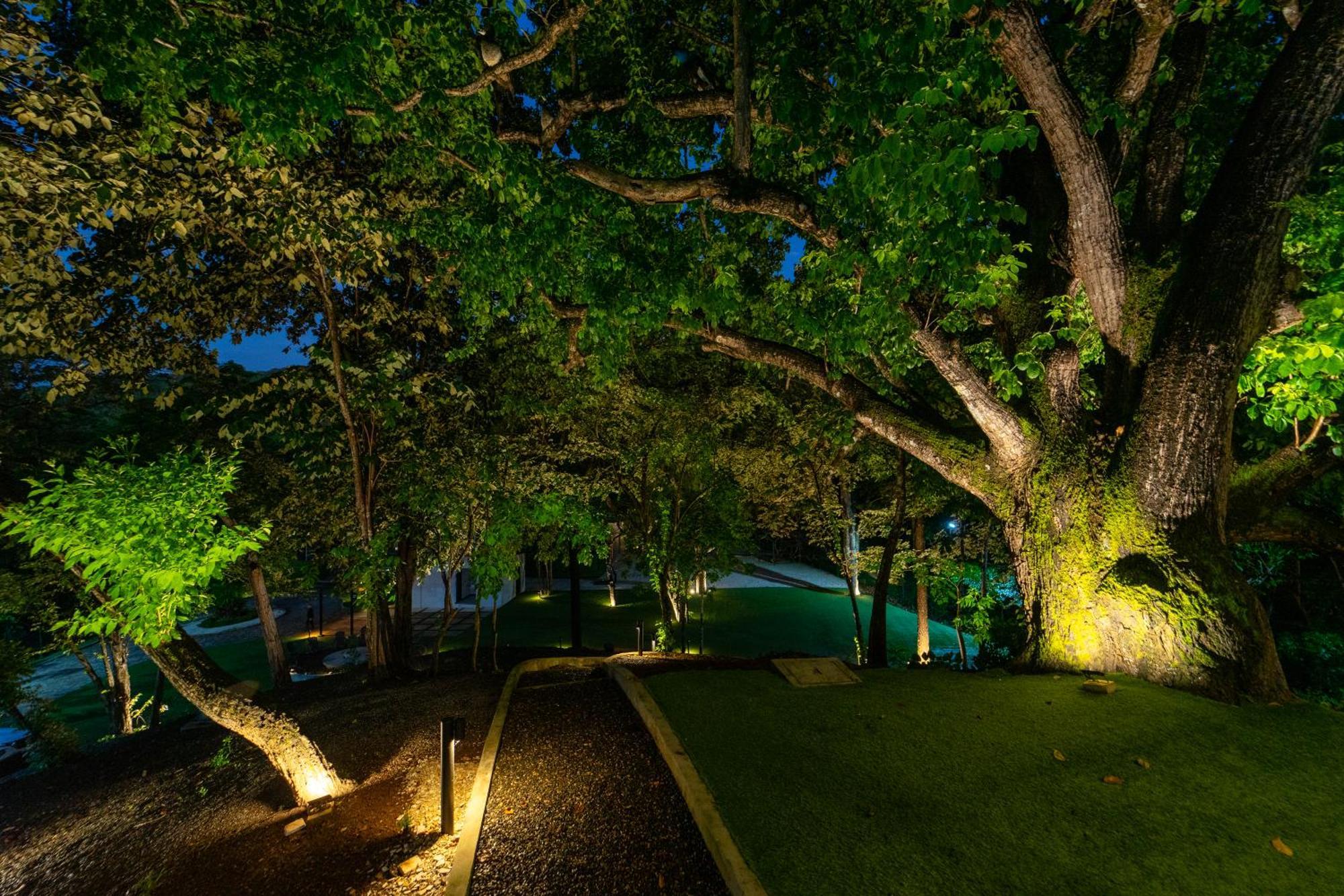 Epic Tamarindo Boutique Hotel Villarreal Eksteriør billede